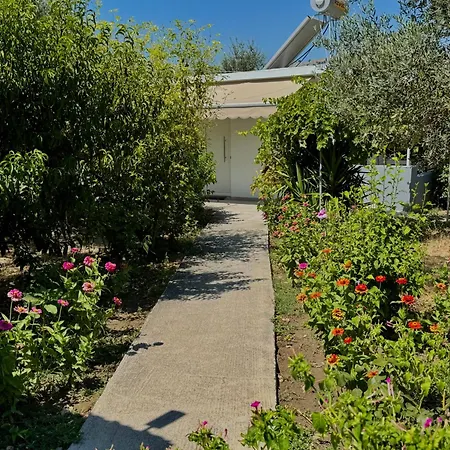 Апартаменты Zoi Luxury *